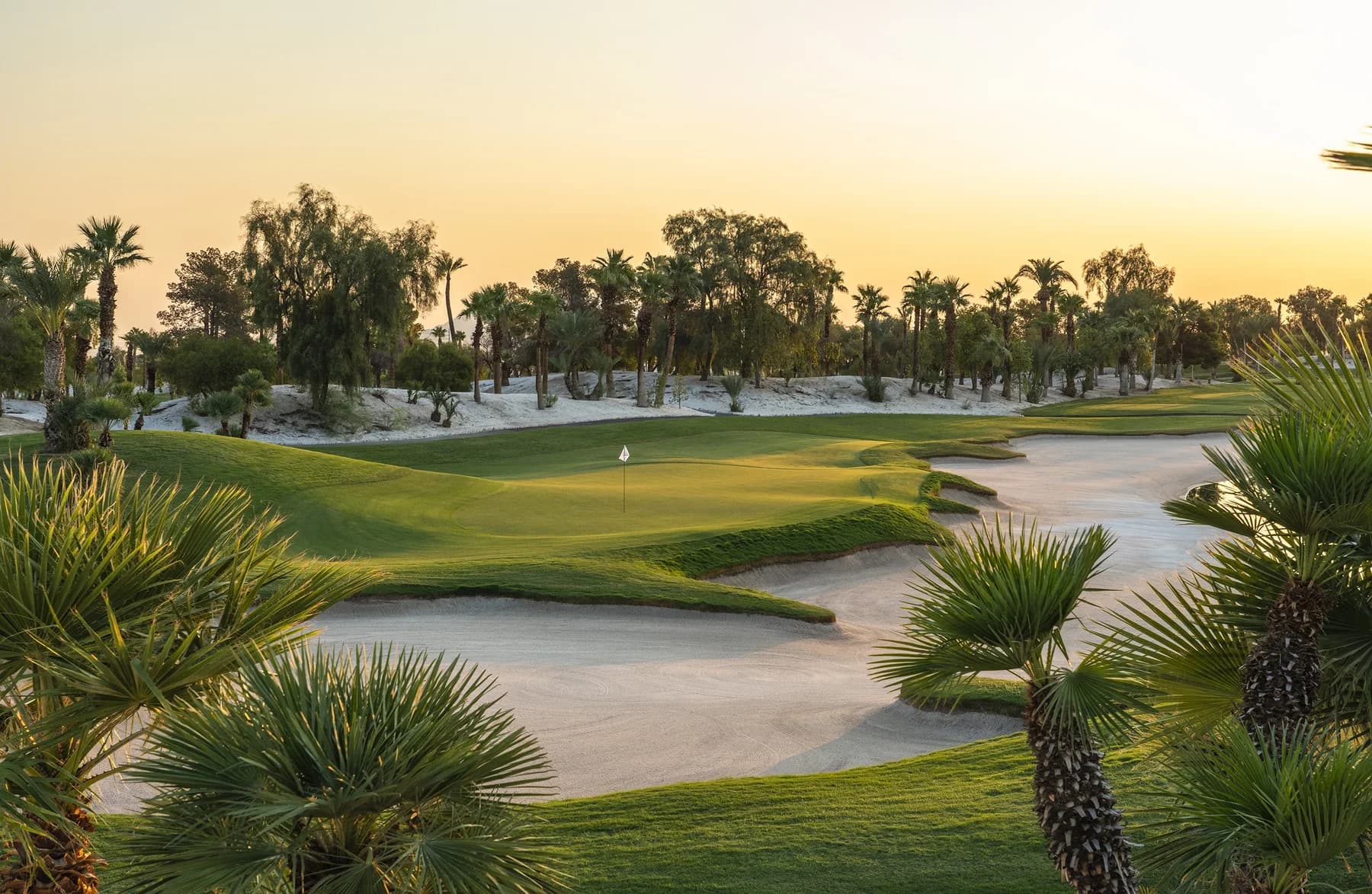 Palm-lined golf course at Bali Hai